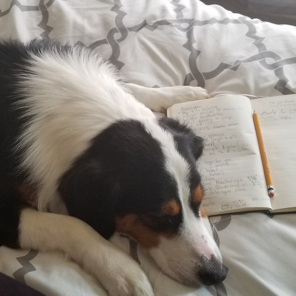 Meet your Posher, Catherine - Picture 8 of 8